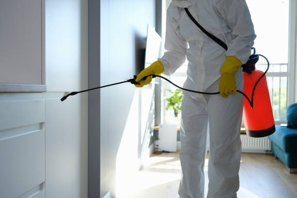 Best Commercial Pest Control  in Blue Ridge, TX